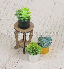 Mini Succulents - Set of 3*