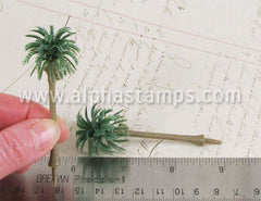 Tiny Palm Tree