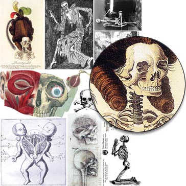 Dem Bones Collage Sheet