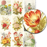 Flora ATCs Collage Sheet