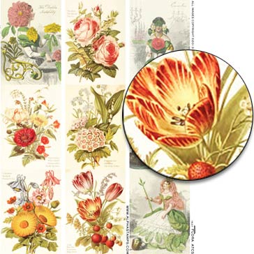 Flora ATCs Collage Sheet