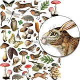Into the Woods Flora & Fauna Collage Sheet