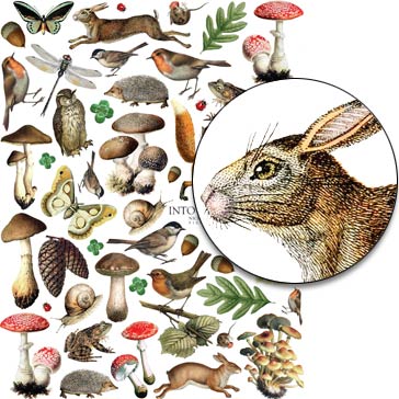 Into the Woods Flora & Fauna Collage Sheet