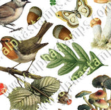Into the Woods Flora & Fauna Collage Sheet