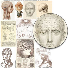 Phrenology Collage Sheet