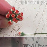 Mini Rose Buds - Red Cream Variegated