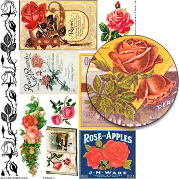 Roses #1 Collage Sheet