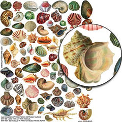 Sea Shells Collage Sheet