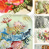 Seed Catalogs Tin Covers Collage Sheet
