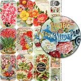 Seed Catalogs Tin Covers Collage Sheet