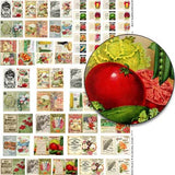 Seed Packets & Catalogs Collage Sheet