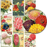 Seed Catalog ATCs Collage Sheet