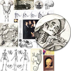 The Lovely Bones Collage Sheet