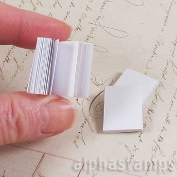 Mini Books with Blank Covers
