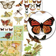 Butterflies Collage Sheet