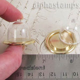 Clear Cake Dome on Gold Tray