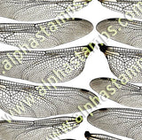 Dragonfly Wings Half Sheet