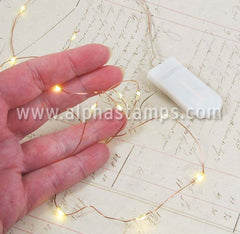 Warm White Fairy Lights - 1 Meter