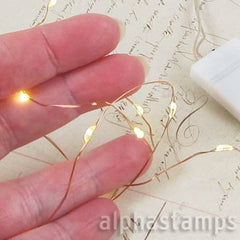 Warm White Fairy Lights - 1 Meter