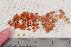 Tiny Autumn Leaves Mix