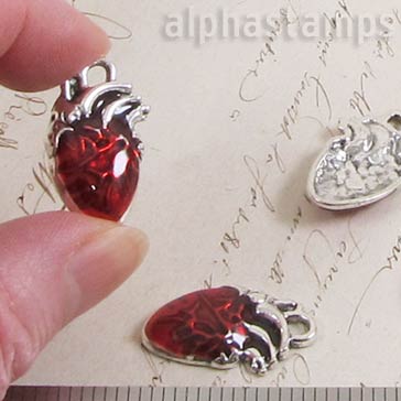 Silver & Red Anatomical Heart Charm