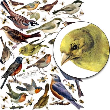 Large Birds and Bees Collage Sheet