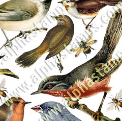 Large Birds and Bees Collage Sheet