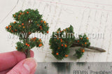 Tiny Orange Tree