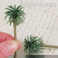 Tiny Palm Tree*