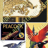 Parrots & Peacocks Collage Sheet