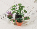 Purple House Plant in White Pot