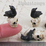 Resin Raven on Skull
