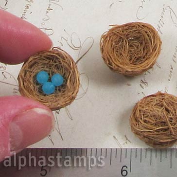 Tiny Bird Nest