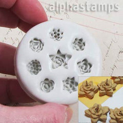 Mini Succulents Silicone Mold