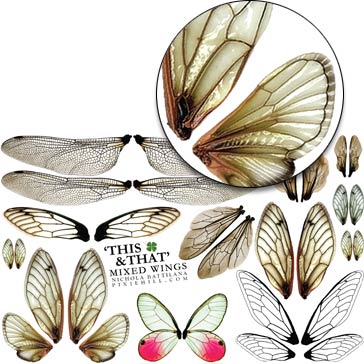 This & That Mixed Wings Half Sheet