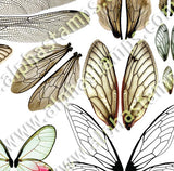 This & That Mixed Wings Half Sheet