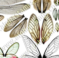 This & That Mixed Wings Half Sheet