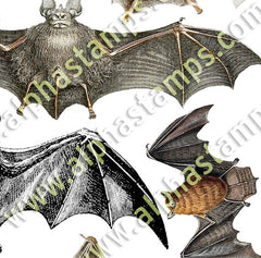 Vintage Bats Collage Sheet