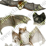 Vintage Bats Collage Sheet