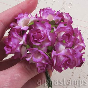 Violet Variegated Roses