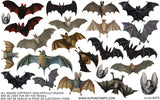 Bats Half Sheet