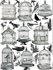 Bird Cage Collage Sheet