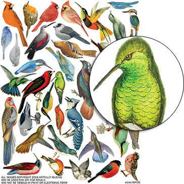 Birds Collage Sheet
