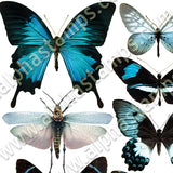 Blue Butterflies & Moths Collage Sheet