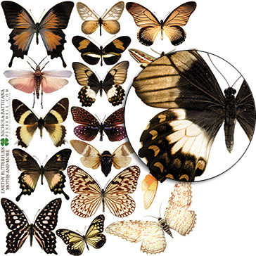 Earthy Butterflies & Moths Collage Sheet