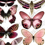 Pink Butterflies & Moths Collage Sheet