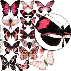 Pink Butterflies & Moths Collage Sheet
