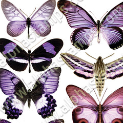 Purple Butterflies & Moths Collage Sheet