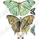 Butterflies & Moths Collage Sheet