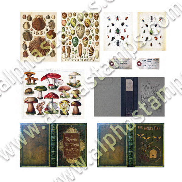 Cabinet of Curiosities Collage Sheet | Alpha Stamps